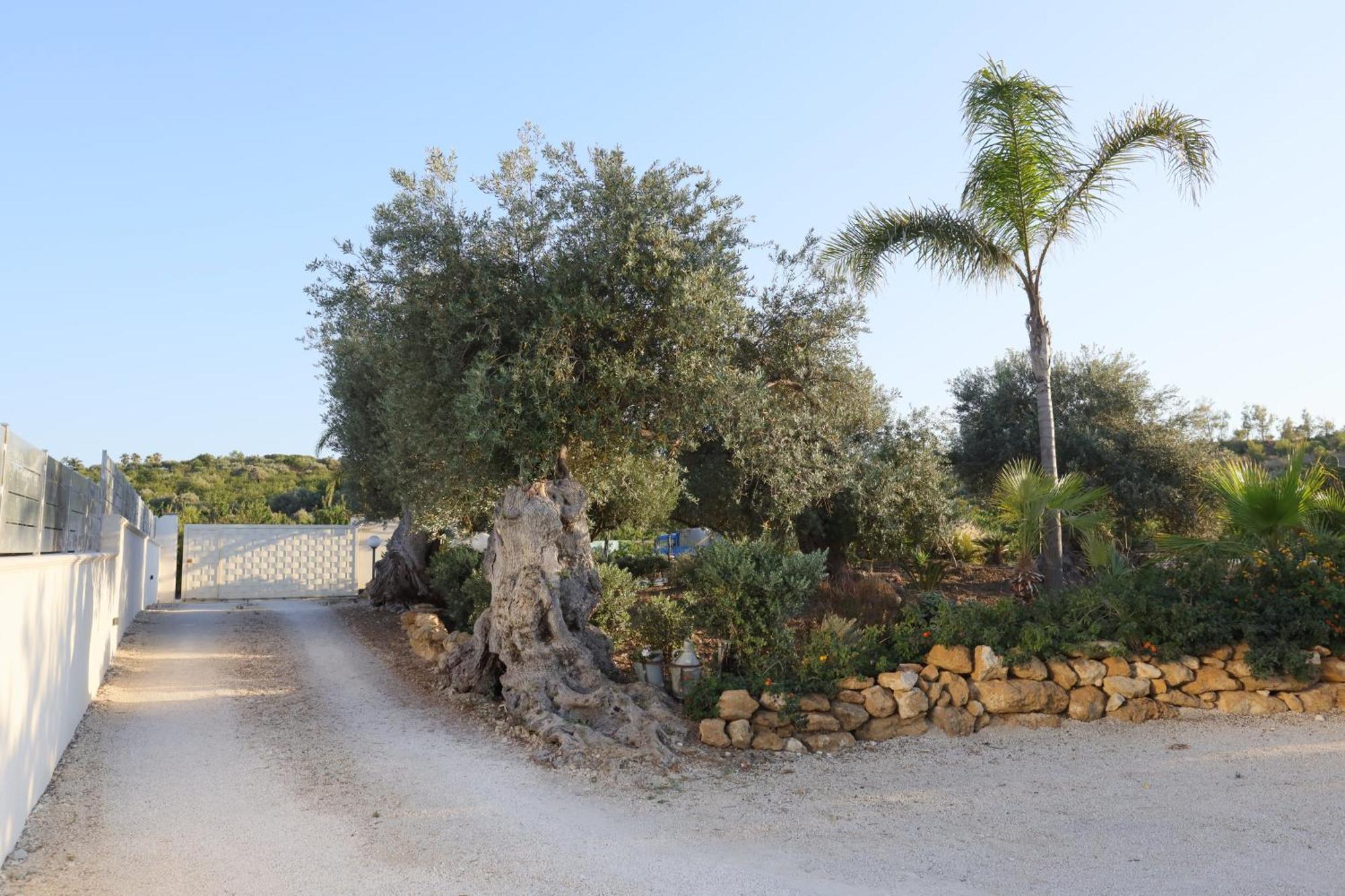 Relais Dea Degli Ulivi Ξενοδοχείο Αγκριτζέντο Εξωτερικό φωτογραφία